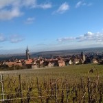 https://www.vins-kamm.fr/photos-vins-kamm-alsace/dambach-ville/