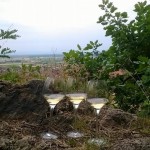 https://www.vins-kamm.fr/photos-vins-kamm-alsace/riesling-grand-cru-frankstein-mineralite-made-in-granite/