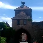 https://www.vins-kamm.fr/photos-vins-kamm-alsace/tour-blienschwiller-dambach-ville/